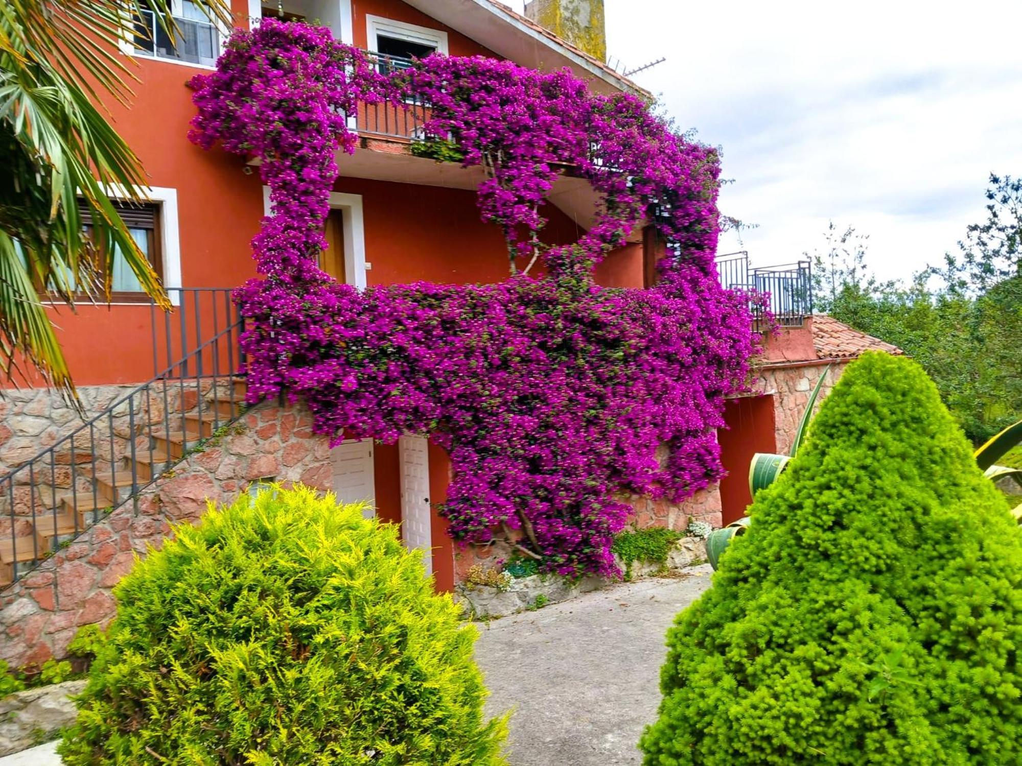 Apartamentos Mariaje Barro  Екстериор снимка