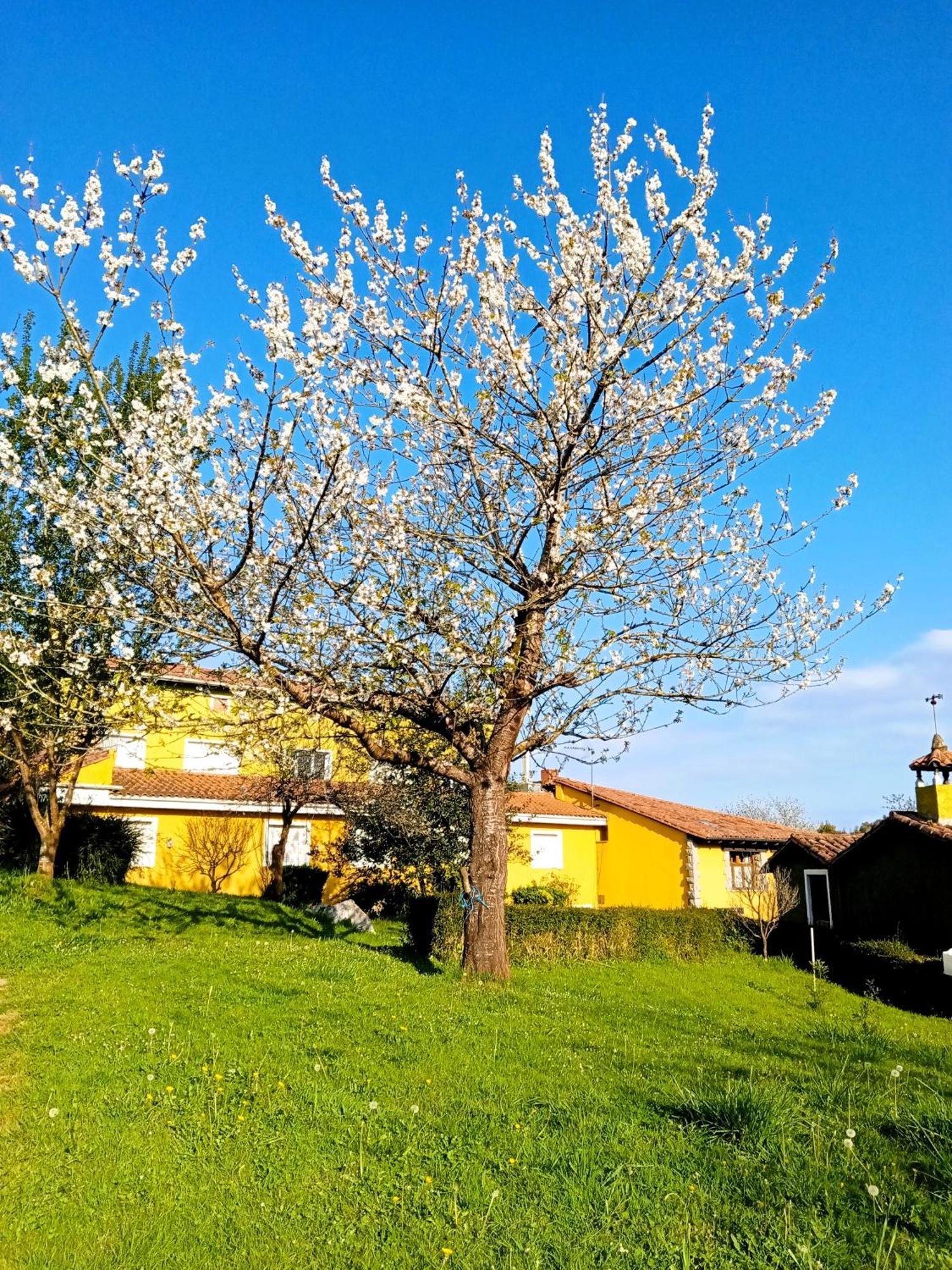 Apartamentos Mariaje Barro  Екстериор снимка